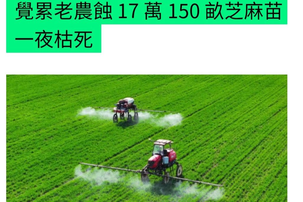 [AI·농업] AI가 추천한 제초제 뿌렸다가 참깨밭 10㏊ 고사 대표 이미지